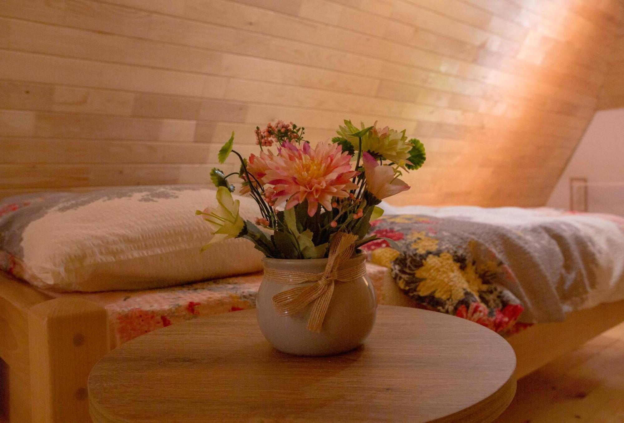 Casa Del Durmitor Apartment Žabljak Екстериор снимка
